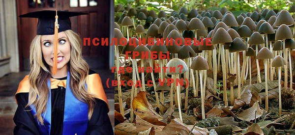 крисы Абдулино