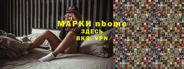 индика Абинск