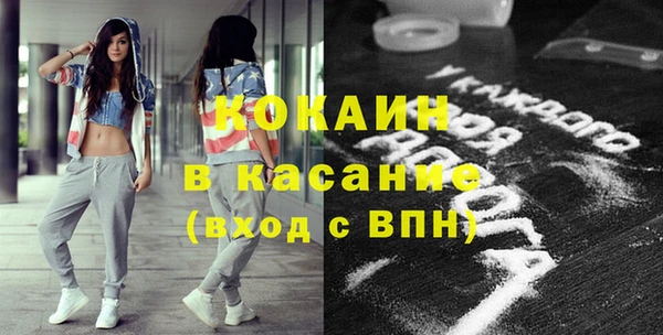 индика Абинск