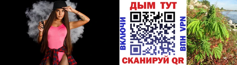Шишки марихуана сатива Карасук