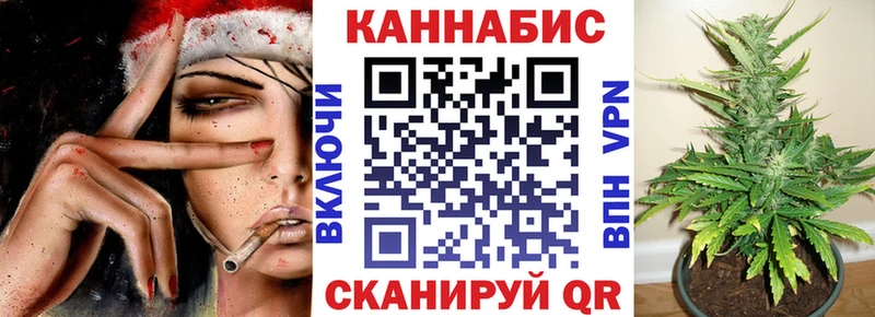 Бошки Шишки SATIVA & INDICA  где купить наркоту  MEGA рабочий сайт  Карасук 